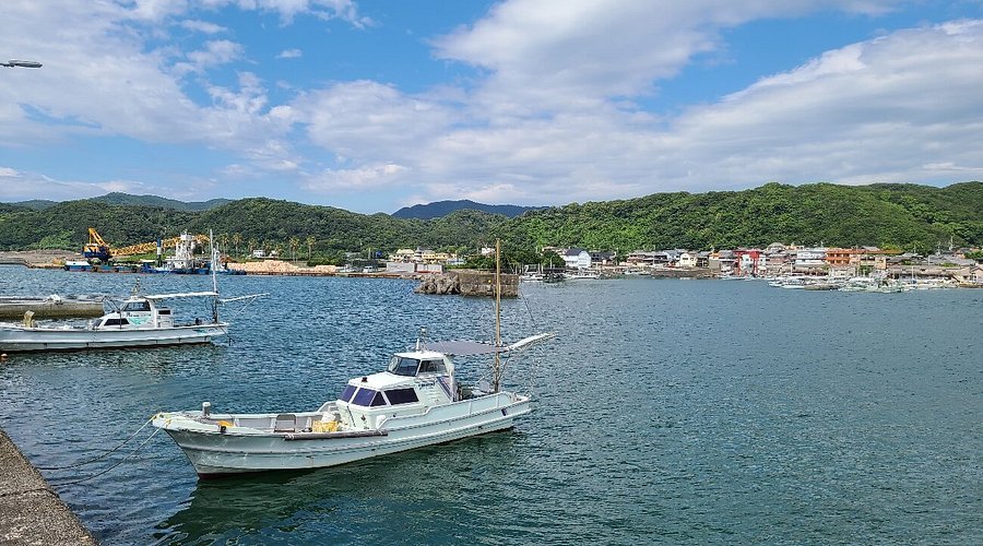 🏖️ 가다 해수욕장 (가타카이스이요쿠조) 이미지 6